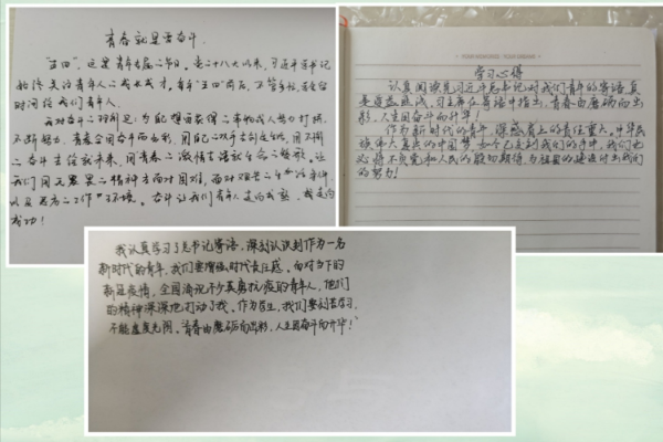 3c922202-0342-4ec3-8704-b3f03ff22d9e.png